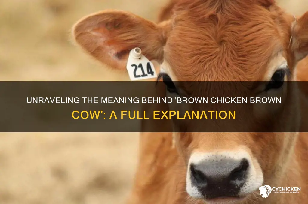 what is brown chicken brown cow mean