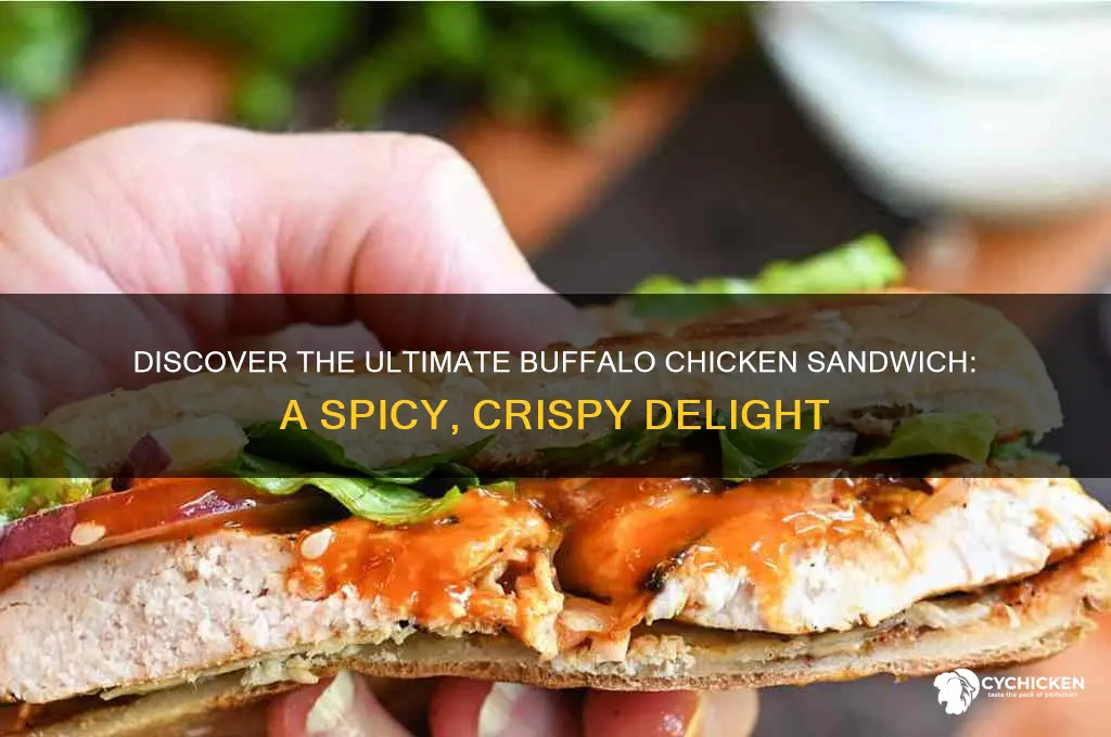 what is buffalo chicken sandwich