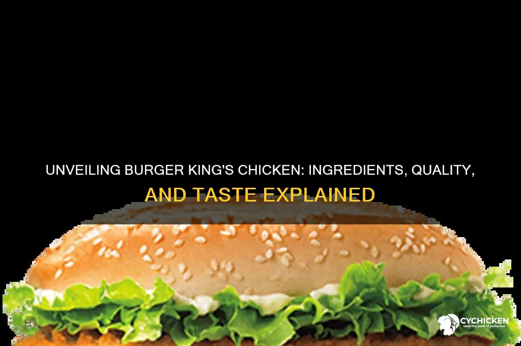 what is burger king chicken made of