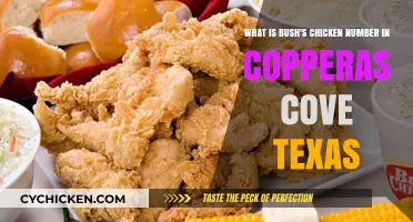 Bush's Chicken in Copperas Cove: Contact Details and More
