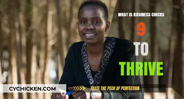 Business Chicks 9 to Thrive: Empowering Women's Holistic Success Strategies