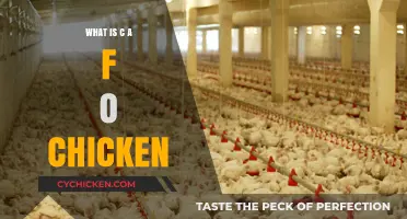 Understanding CAFO Chicken: Practices, Impact, and Ethical Considerations Explained