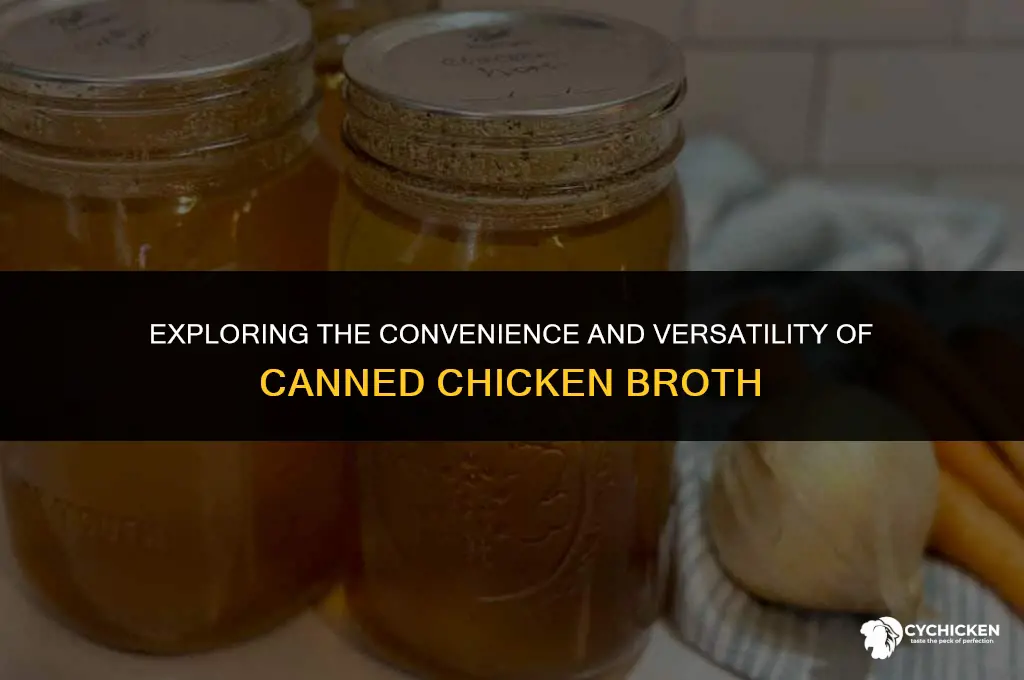 what is canned chicken broth