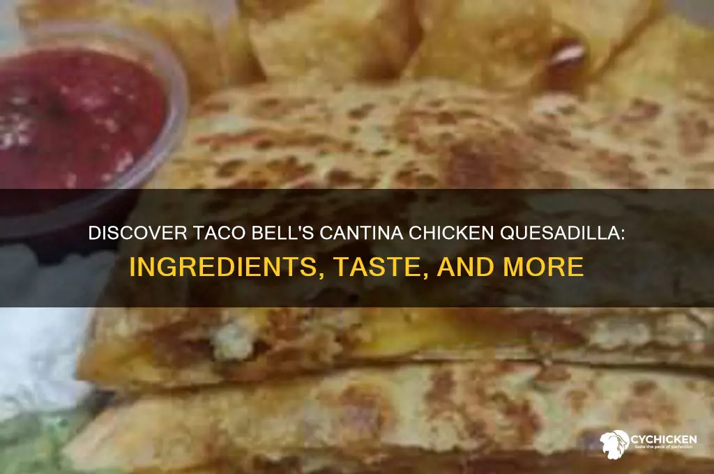 what is cantina chicken quesadilla at taco bell