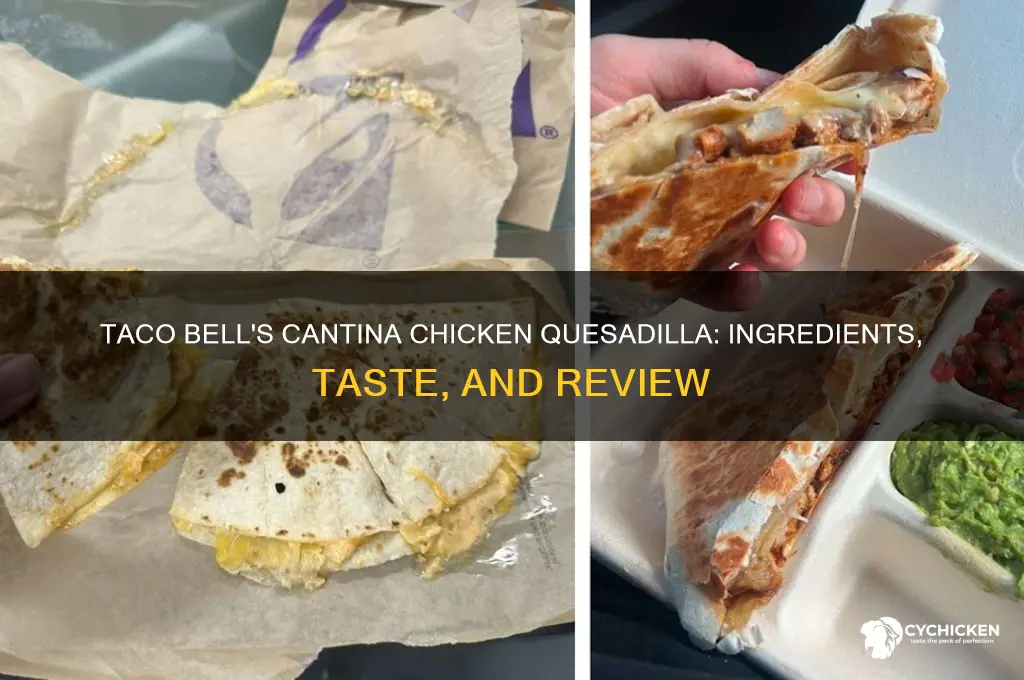 what is cantina chicken quesadilla taco bell