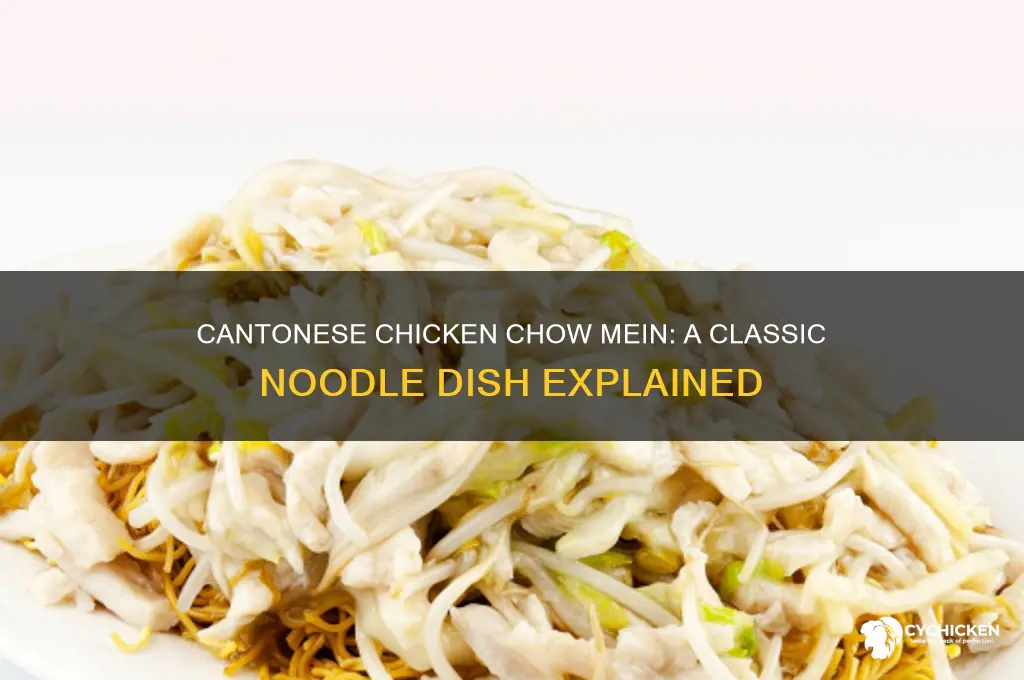 what is cantonese style chicken chow mein