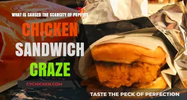 Popeyes Chicken Sandwich Craze: Unraveling the Scarcity Phenomenon