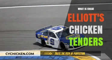 Chase Elliott's Chicken Tenders: The NASCAR Star's Secret Recipe