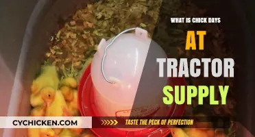Chick Days at Tractor Supply: A Beginner's Guide to Raising Chicks