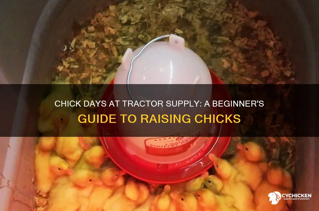 what is chick days at tractor supply