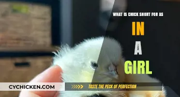The Etymology of Chick: Uncovering the Roots of This Slang Term
