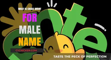Chick as a Nickname: Uncovering the Male Name Origin and Meaning