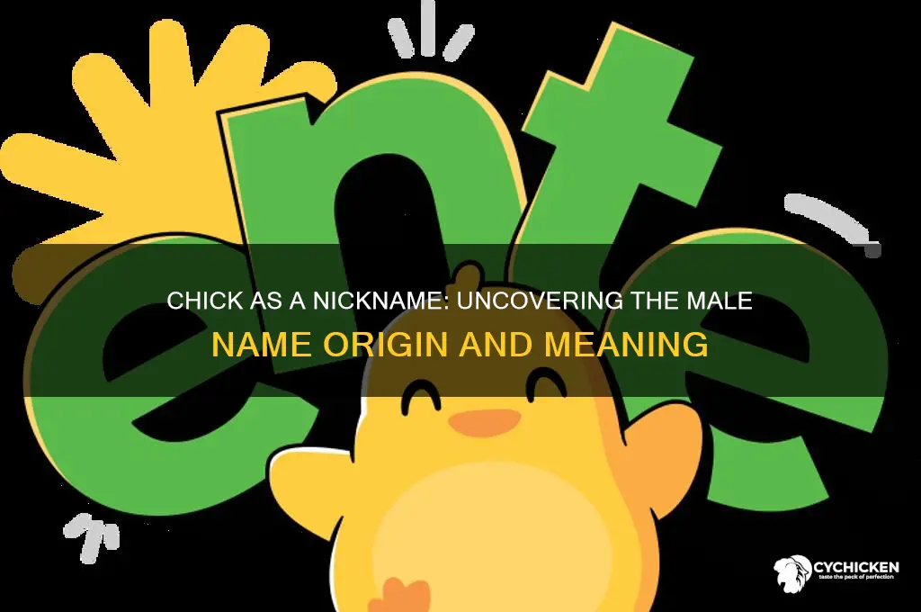 what is chick short for male name