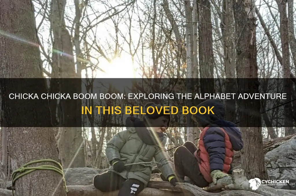 what is chicka chicka boom boom book about