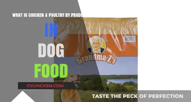 Chicken & Poultry By-Products in Dog Food: Safe or Not?