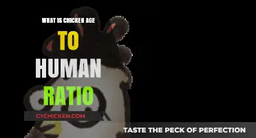 Understanding the Chicken-to-Human Age Ratio: A Surprising Comparison