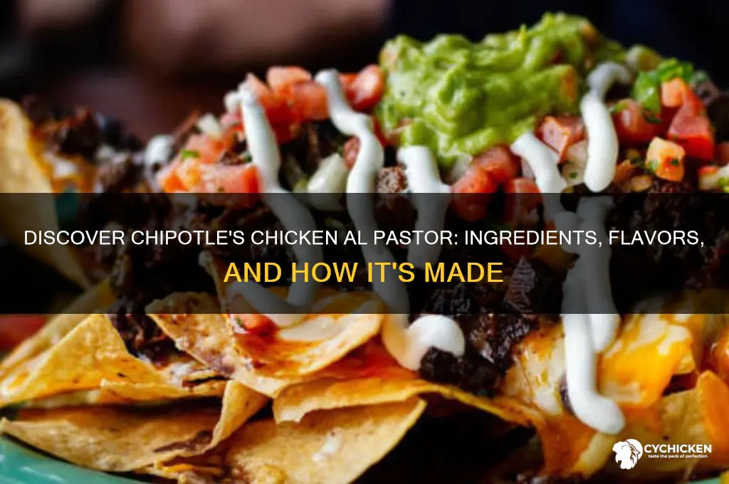 what is chicken al pastor at chipolte