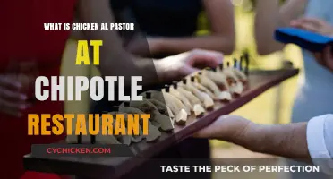 Discover Chipotle's Chicken Al Pastor: Ingredients, Flavor, and Menu Appeal