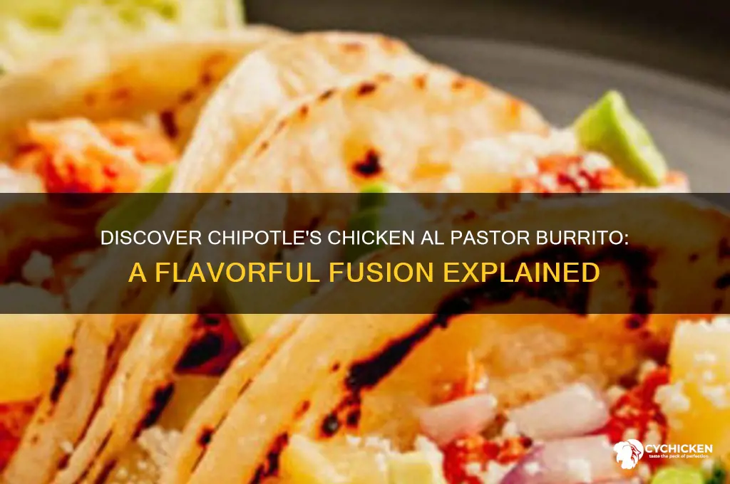 what is chicken al pastor burrito at chipolte