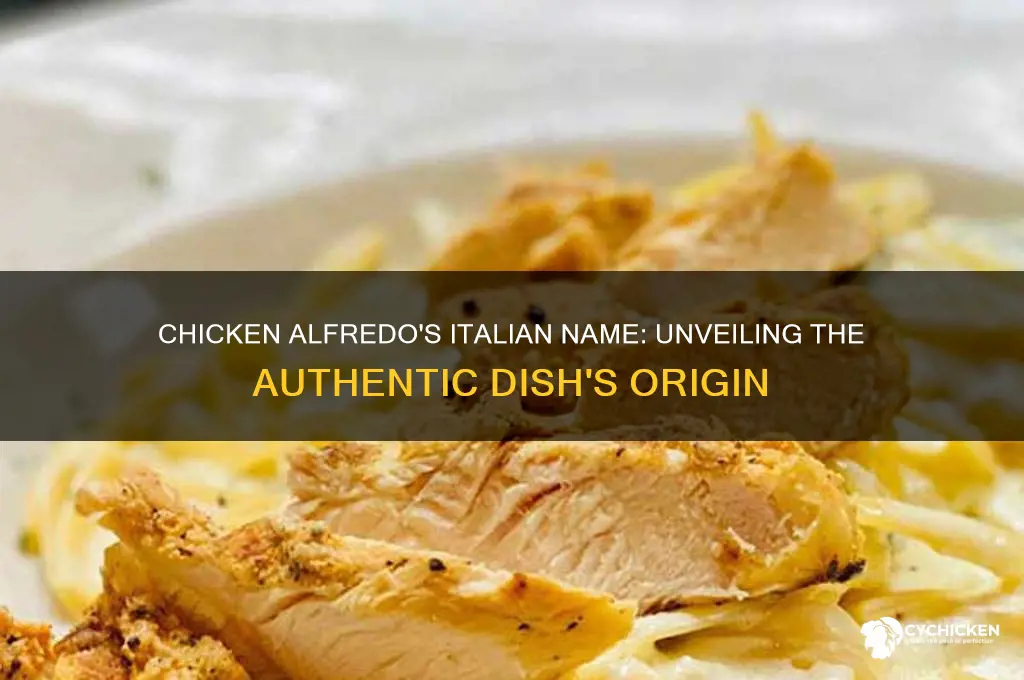 what is chicken alfredo called in italy
