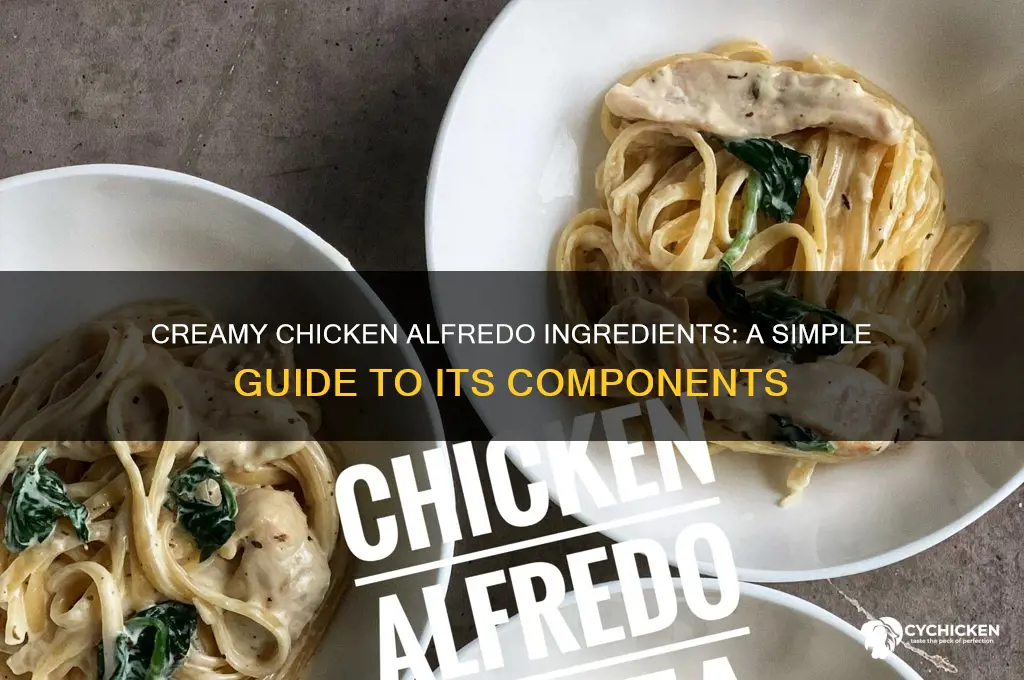 what is chicken alfredo made out of