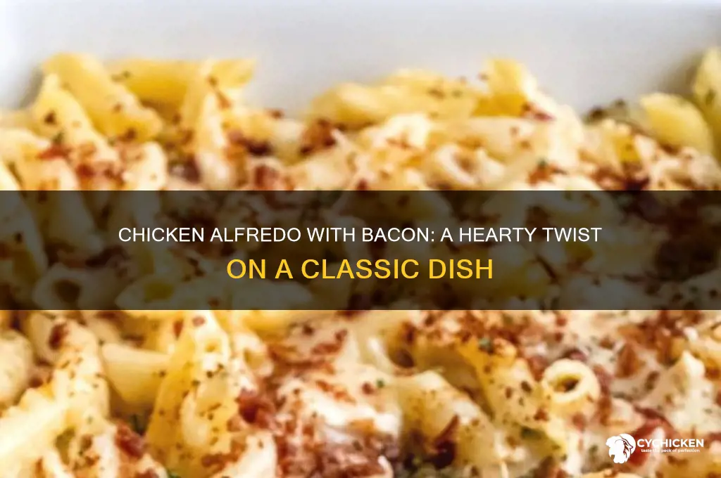 what is chicken alfredo with bacon called