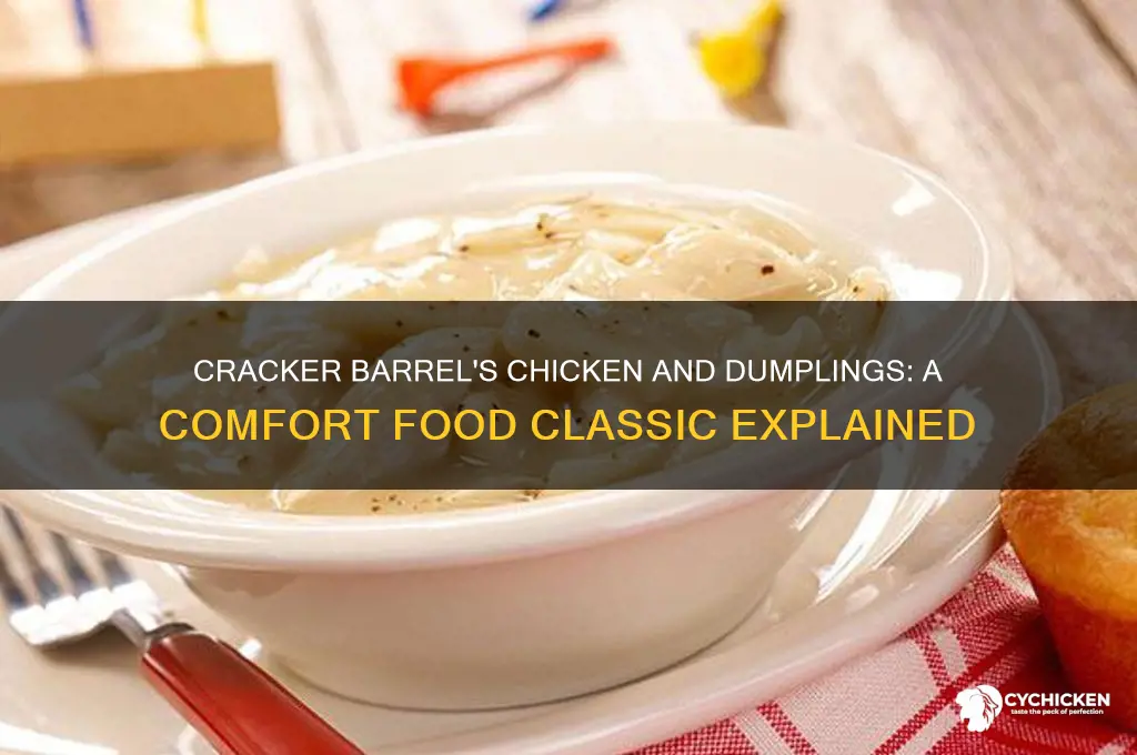 what is chicken and dumplings cracker barrel