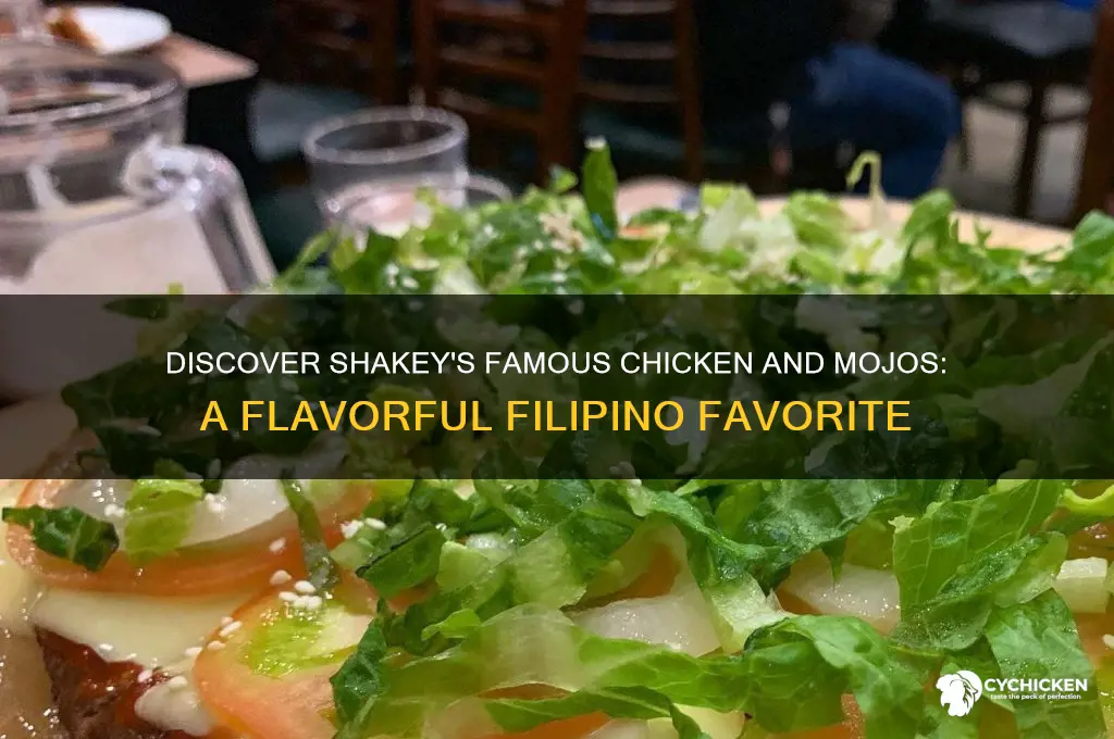 what is chicken and mojos shakey