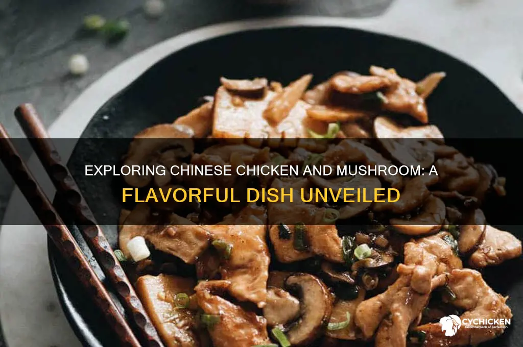 what is chicken and mushroom from the chinese