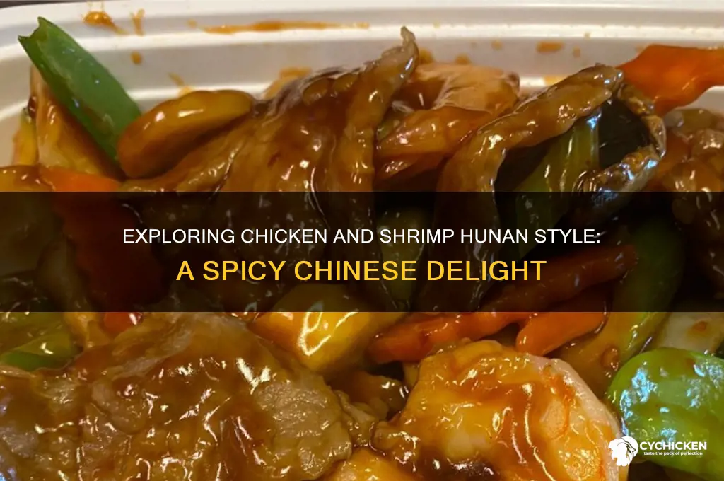what is chicken and shrimp hunan style