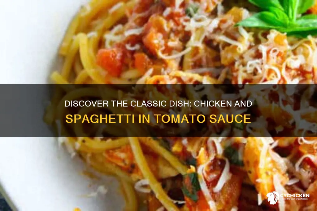 what is chicken and spaghetti with tomato sauce called