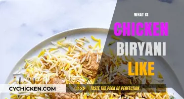 Exploring the Aromatic, Spicy, and Flavorful World of Chicken Biryani