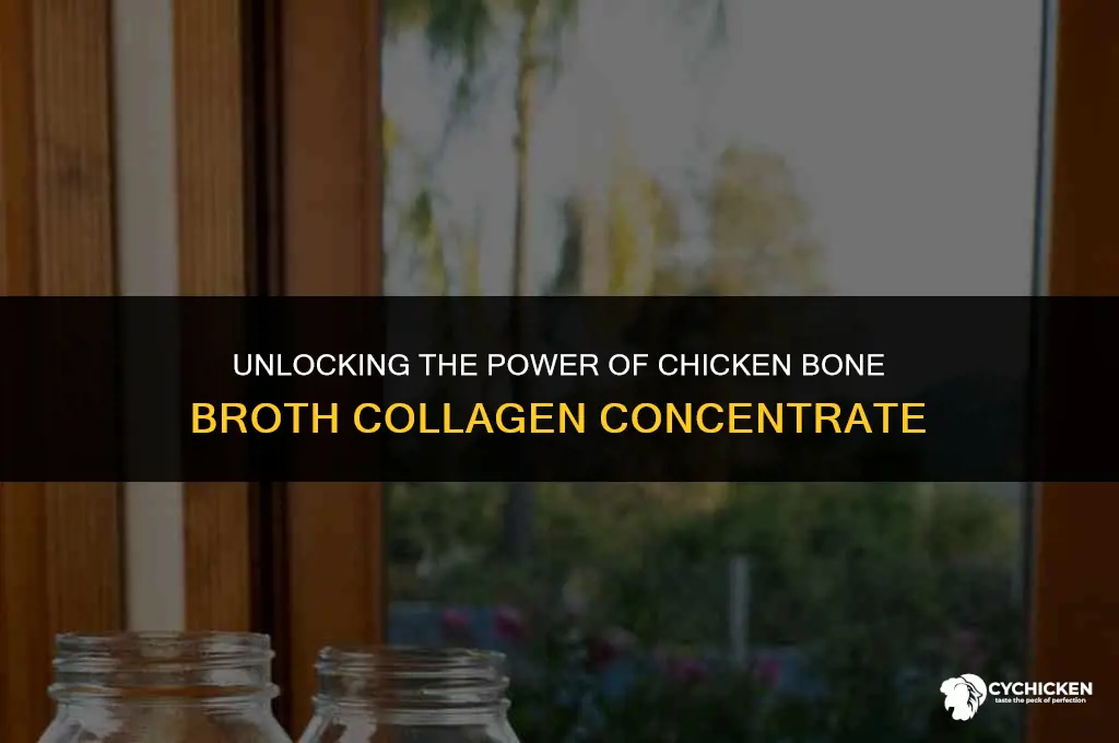 what is chicken bone broth collagen concentrate