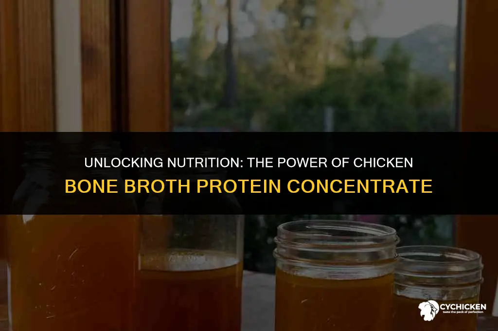 what is chicken bone broth protein concentrate