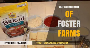 Discovering Foster Farms' Chicken Breeds: A Comprehensive Guide