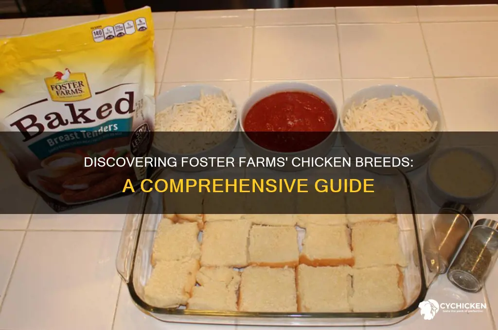 what is chicken breed of foster farms