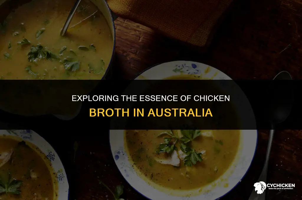 what is chicken broth in australia