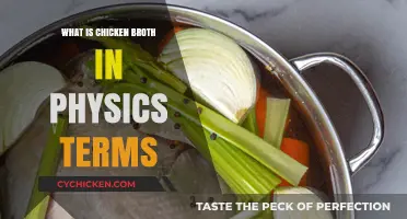 Exploring Chicken Broth: A Physics Perspective on Culinary Dynamics