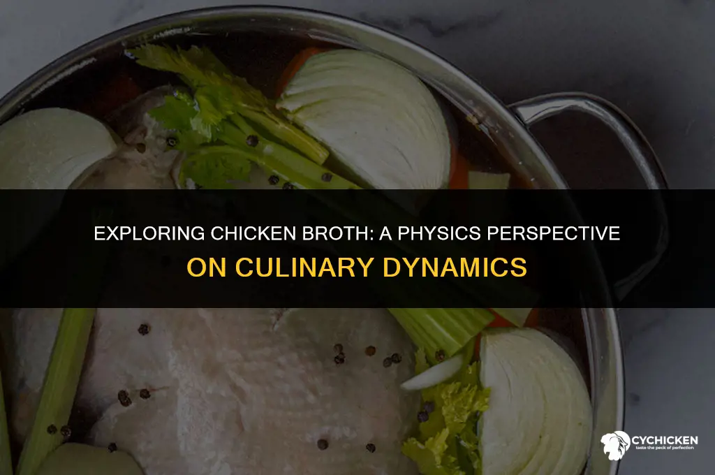 what is chicken broth in physics terms