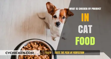 Understanding Chicken By-Product in Cat Food: Benefits and Concerns