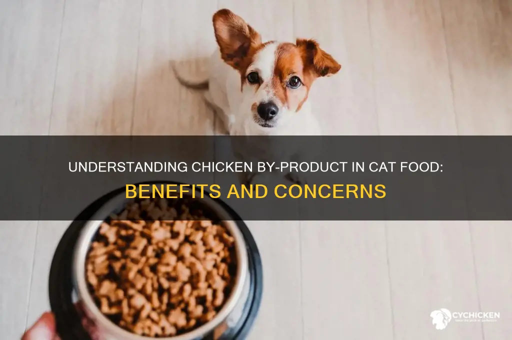 what is chicken by product in cat food