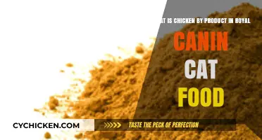 Royal Canin's Chicken By-Products: What's in the Bag?