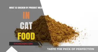 Understanding Chicken By-Products in Your Cat's Food