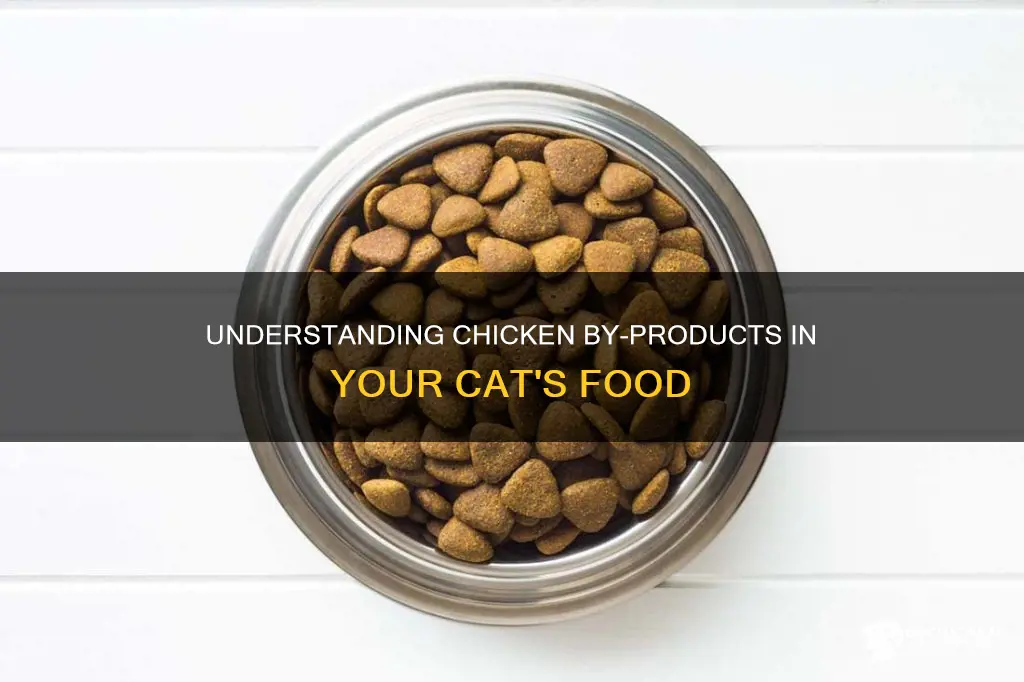 what is chicken by product meal in cat food