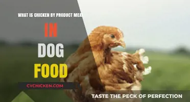 Chicken By-Product Meal: What's in Your Dog's Food?
