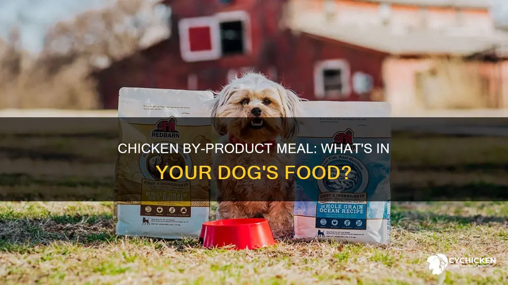 what is chicken by product meal in dog food