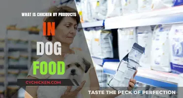 Understanding Chicken By-Products in Dog Food: Benefits and Concerns