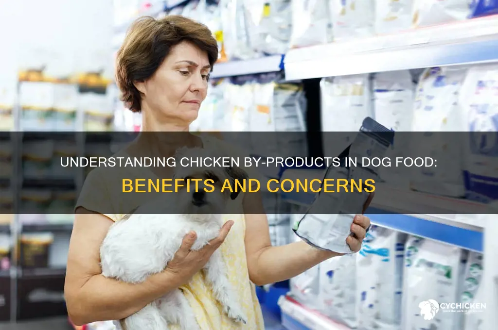 what is chicken by products in dog food