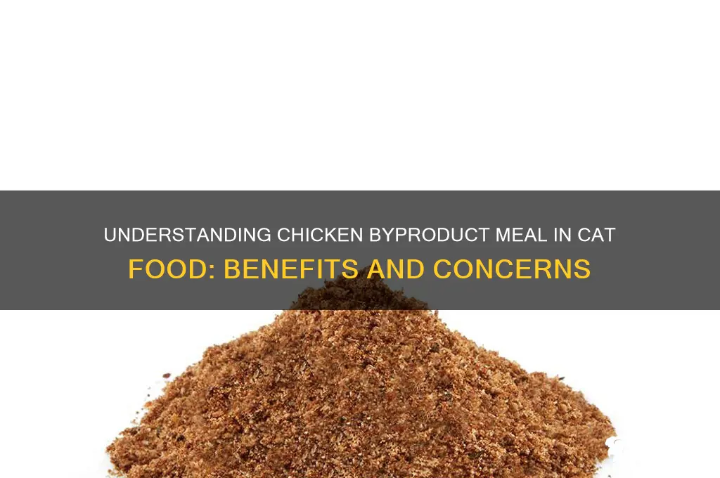 what is chicken byproduct meal in cat food