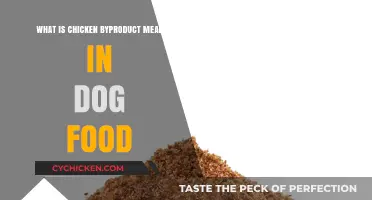 Understanding Chicken Byproduct Meal in Dog Food: Benefits and Concerns